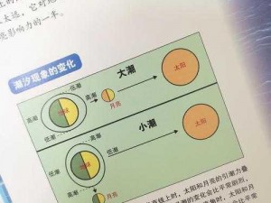 王揭秘：探寻其诞生作用与获取方式全面指南