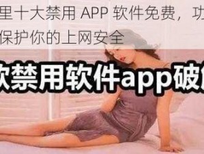 最新夜里十大禁用 APP 软件免费，功能强大，轻松保护你的上网安全