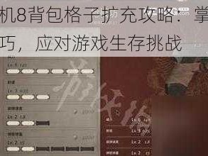 生化危机8背包格子扩充攻略：掌握存储扩充技巧，应对游戏生存挑战