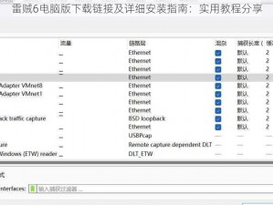 雷贼6电脑版下载链接及详细安装指南：实用教程分享