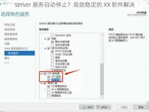 server 服务自动停止？高效稳定的 XX 软件解决