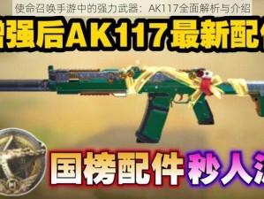 使命召唤手游中的强力武器：AK117全面解析与介绍