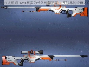 csgo 大姐姐 awp 核实为长久封禁发声——皮肤界的经典之作