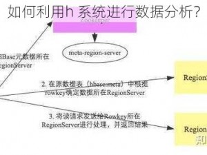 如何利用h 系统进行数据分析？