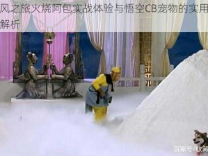 天天风之旅火烧阿包实战体验与悟空CB宠物的实用性能深度解析