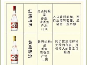 37 大但汾 company 简介：为什么这家公司如此特别？如何做到的？有何秘诀？