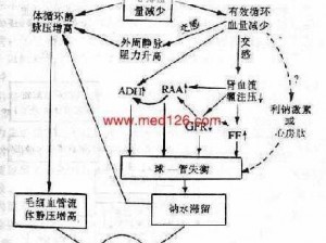 胜利足球碎片系统全面解析：深入了解其运作机制与特点