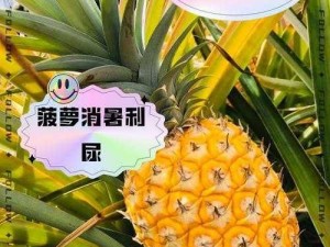 大菠萝 app 导航花季，畅享纯净视觉体验