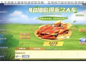 QQ飞车手游猪王徽章快速获取攻略：实用技巧助你轻松获得猪王徽章