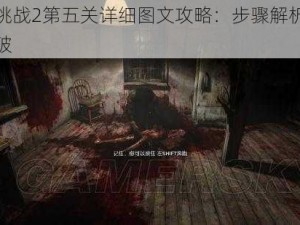 逃生挑战2第五关详细图文攻略：步骤解析与难点突破