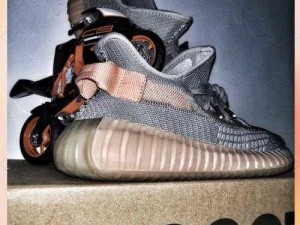 YEEZY350V1亚洲;YEEZY350V1 亚洲版在市场上的价格走势及购买渠道有哪些？