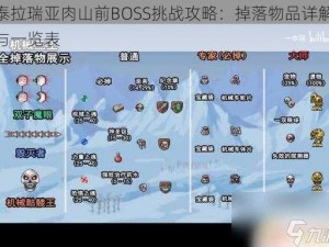 泰拉瑞亚肉山前BOSS挑战攻略：掉落物品详解与一览表