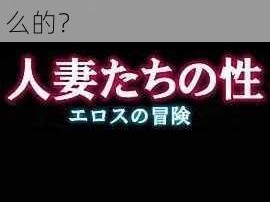 请问エロワンピースエロじ天堂这个是关于什么的？