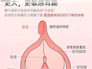 优质、舒适、耐用，让你体验前所未有的快感