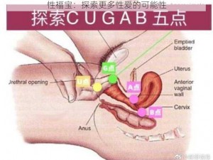 性福宝：探索更多性爱的可能性