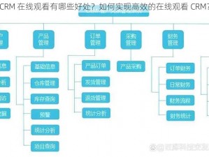 CRM 在线观看有哪些好处？如何实现高效的在线观看 CRM？