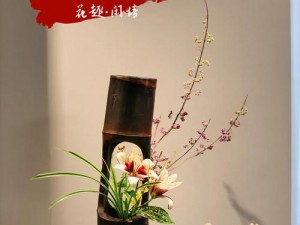 插花弄玉曲径通幽为什么又重新上线了？