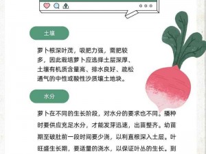 优质拨萝卜不盖被子，抗菌防螨，舒适透气