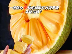 菠萝菠萝蜜视频免费高清观看，为什么还要付费？