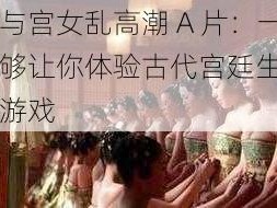 皇帝与宫女乱高潮 A 片：一款能够让你体验古代宫廷生活的成人游戏