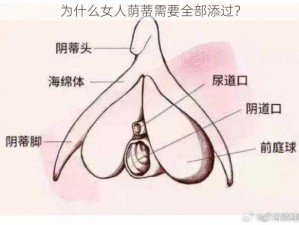 为什么女人荫蒂需要全部添过？