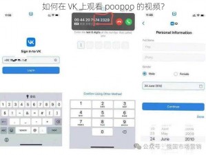 如何在 VK 上观看 poopoo 的视频？