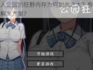 无人公园的狂野内存为何如此之大？有哪些解决方案？