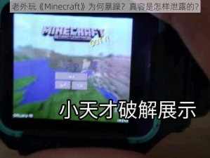 老外玩《Minecraft》为何暴躁？真容是怎样泄露的？