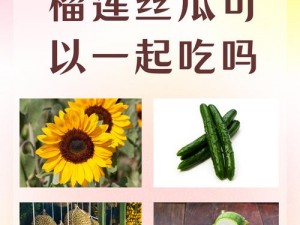 草莓丝瓜榴莲向日葵 18 岁站长统计能带来收益吗？怎样才能实现？