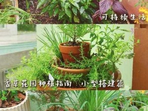 明日之后：室内种植植物玩法全解析，打造绿色生态家居空间