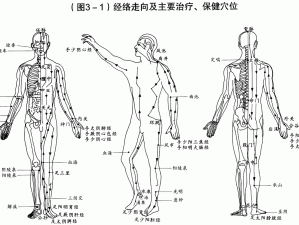 西西人体太胆怎么了？探秘人体奥秘，专家为你解读