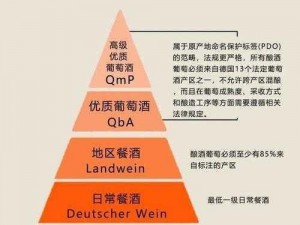 911 精品产国产一二三产区区别——国产高品质产品，满足不同需求