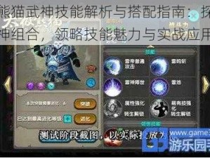 太极熊猫武神技能解析与搭配指南：探索最强武神组合，领略技能魅力与实战应用