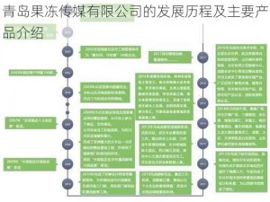 青岛果冻传媒有限公司的发展历程及主要产品介绍