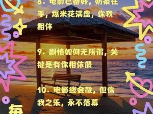 相濡以沫的夜晚接档，为什么能如此受欢迎？