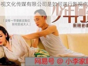 麻豆影视文化传媒有限公司是如何进行影视作品制作的？