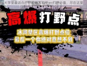 大学里最适合打野的地方知乎——打野必备，尽在这里