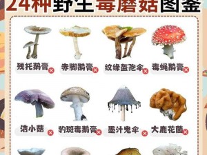 黑料门独家爆料蘑菇：安全无毒，可食用的神奇菌类