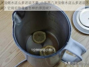 小东西几天没做水这么多还说不要_小东西几天没做水这么多还说不要，这种情况正常吗？它背后隐藏着怎样的原因呢？