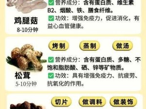 蘑菇一区一区有限？国精产品如何解决你的痛点？