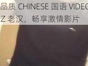 高品质 CHINESE 国语 VIDEOSJIZZ 老汉，畅享激情影片