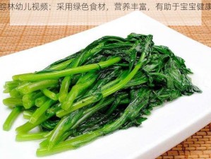 仙踪林幼儿视频：采用绿色食材，营养丰富，有助于宝宝健康成长