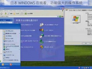 日本 WINDOWS 在线看，功能强大的操作系统