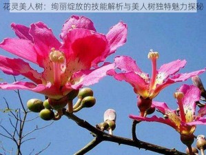 花灵美人树：绚丽绽放的技能解析与美人树独特魅力探秘