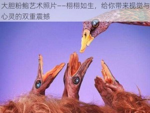 大胆粉鲍艺术照片——栩栩如生，给你带来视觉与心灵的双重震撼