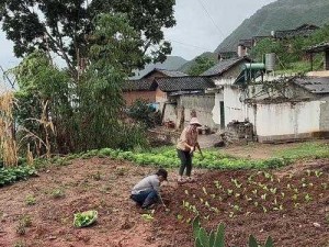 我们的乡村小视频，记录乡村美好生活