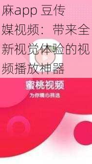 麻app 豆传媒视频：带来全新视觉体验的视频播放神器