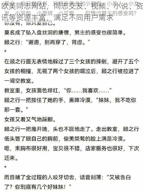 欧美同志网站，同志交友、视频、小说、资讯等资源丰富，满足不同用户需求