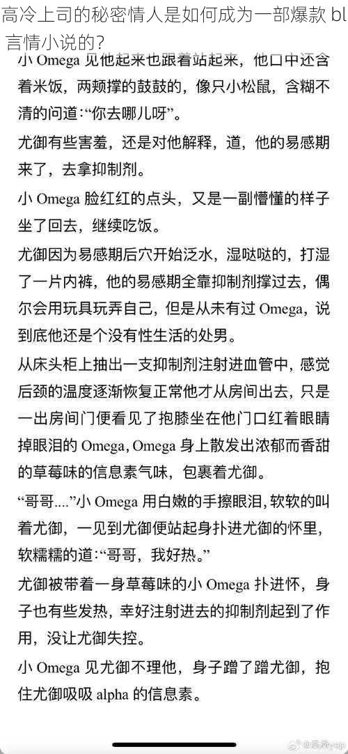 高冷上司的秘密情人是如何成为一部爆款 bl 言情小说的？