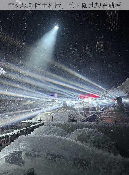 雪花飘影院手机版，随时随地想看就看